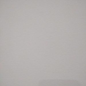 Meet your Posher, Anne